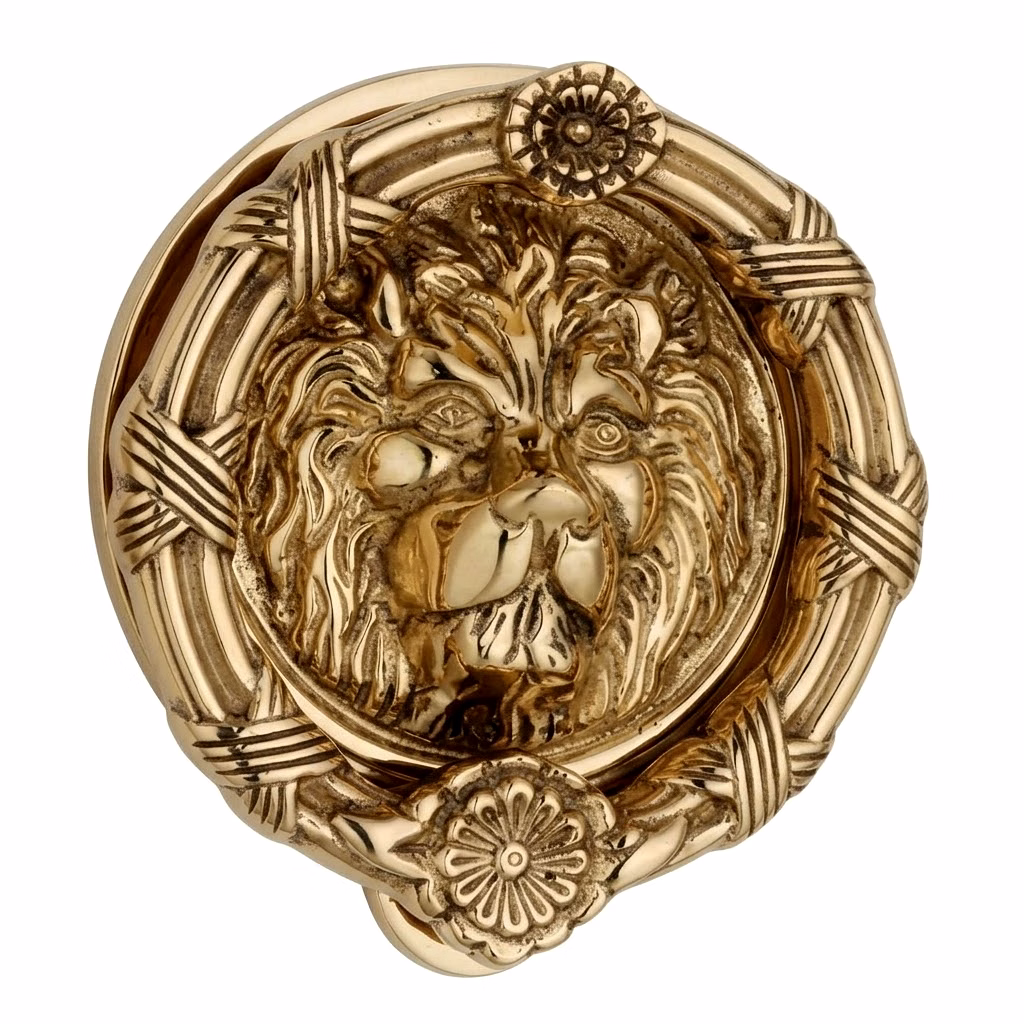 lion face door knoker
