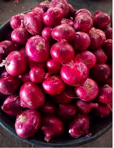 onion