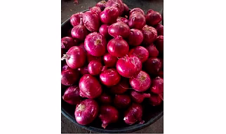 ONION