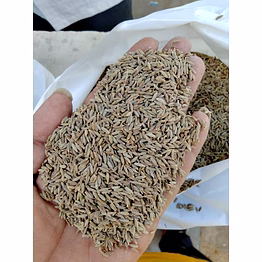 cumin seeds (jeera)