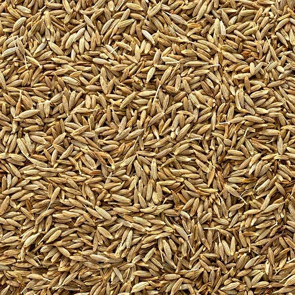 Cumin Seeds (Jeera) image 2