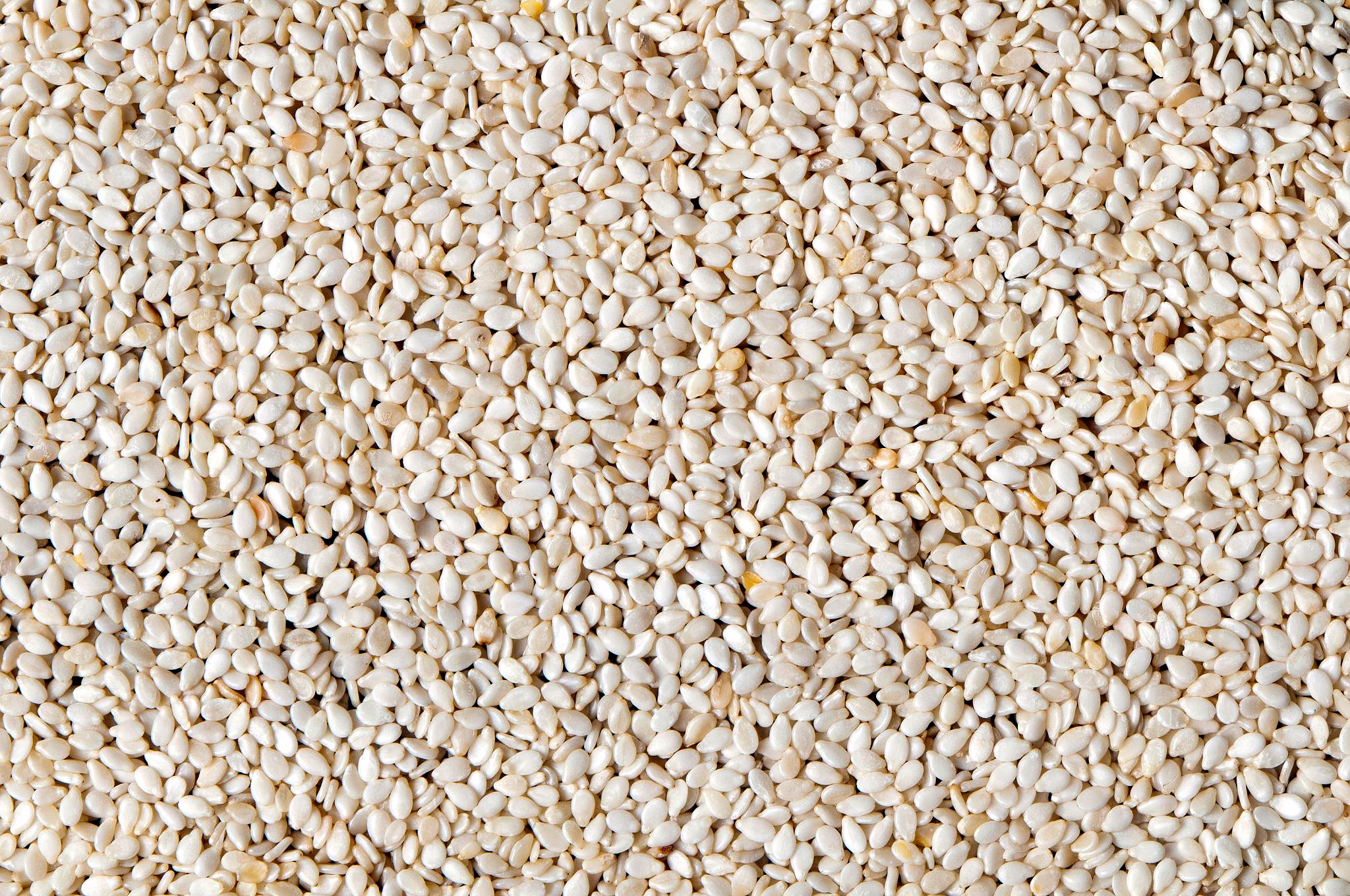 Sesame Seeds image 2