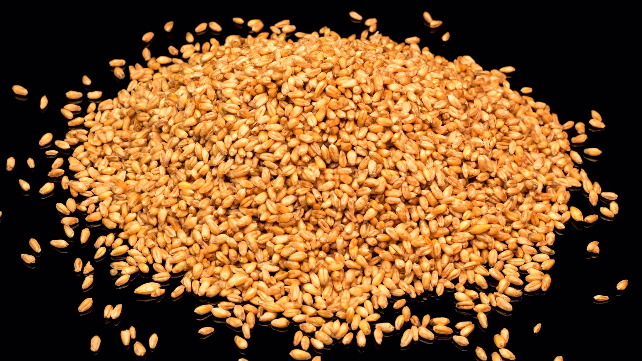 Wheat Grains image 1