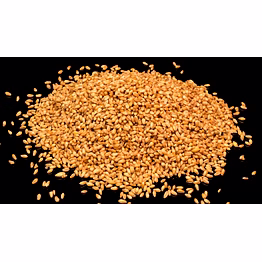 wheat grains