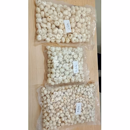 fox nuts