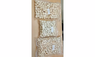 Fox nuts