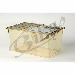 rat cage