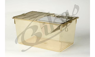 Rat Cage