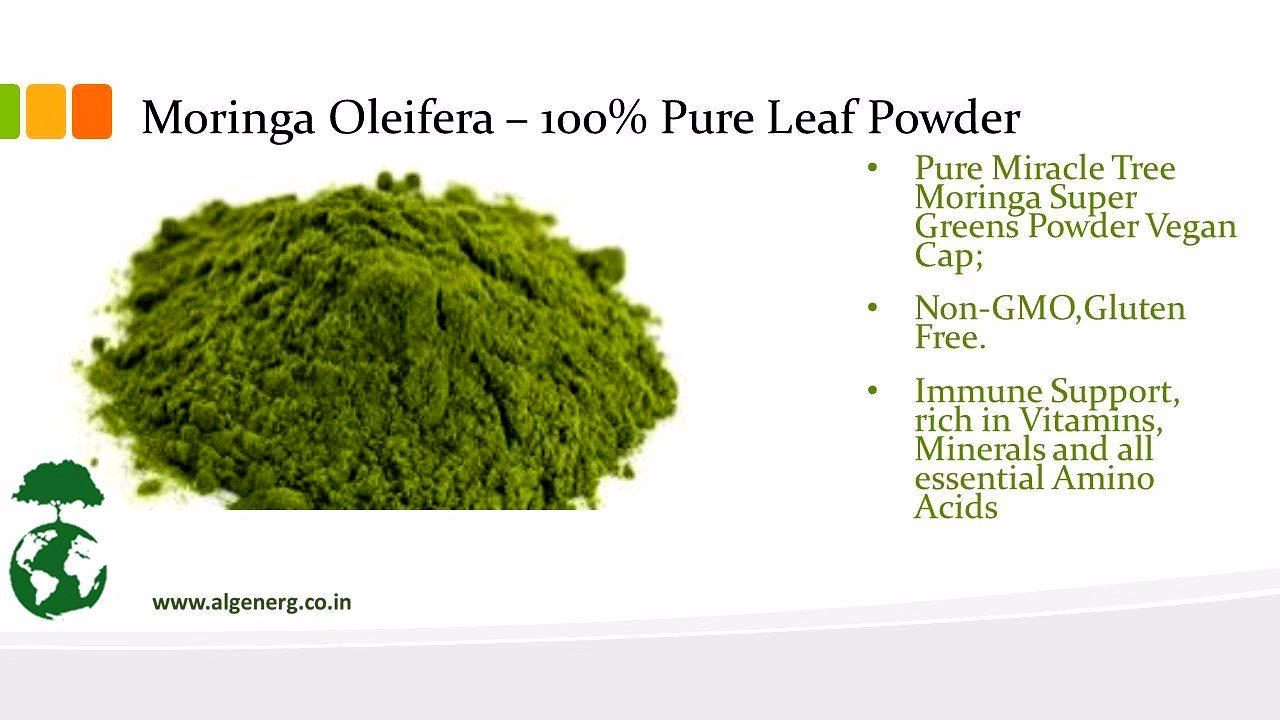 Organic Moringa Leaf Powder - Premium Quality Nutritional Supplement image 2