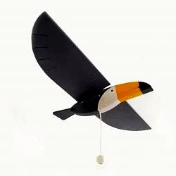 toucan flying bird