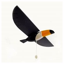 toucan flying bird
