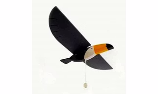Toucan flying Bird