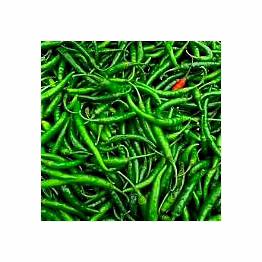 green chilly g4