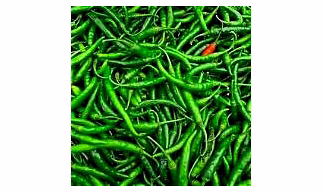 Green Chilly G4