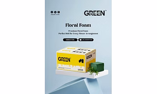 FLORAL FOAM BRICKS