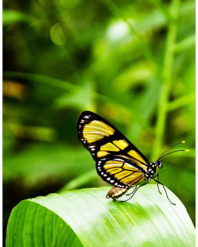 Scintillating Singapore-8