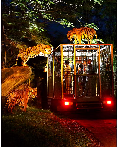 Scintillating Singapore-4