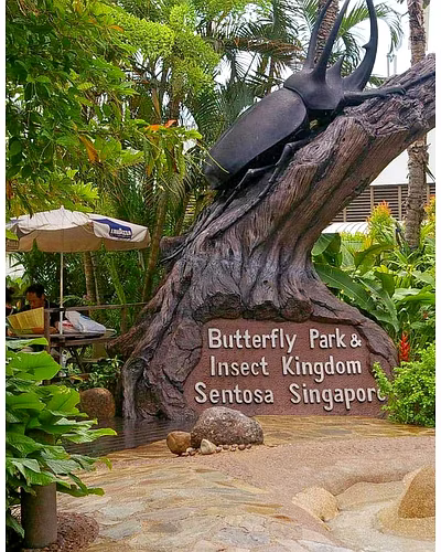 Scintillating Singapore-9