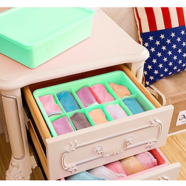total gift solutions plastic underwear organizer (10 grid)