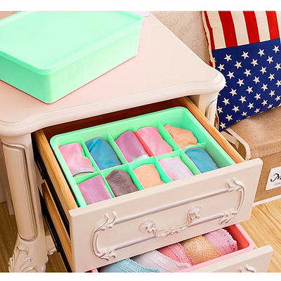total gift solutions plastic underwear organizer (10 grid)