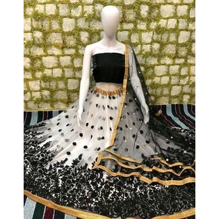 Graceful Embroidered Net Lehenga