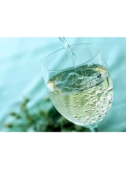 Bisleri Club Soda (750 Ml)-1