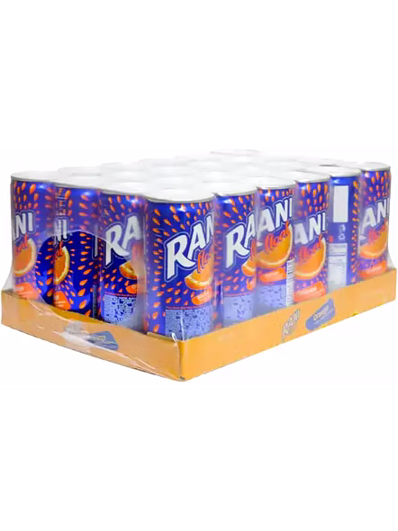 Rani Float Orange Fruit Drink With Chunk (240 Ml)-1