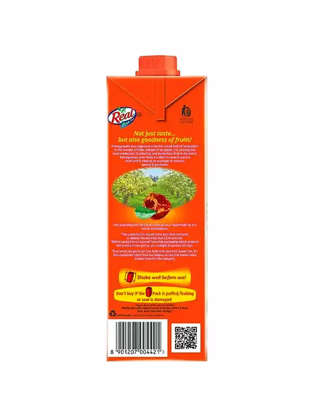Real Fruit Power Mix Fruit Juice (1 Lt)-2