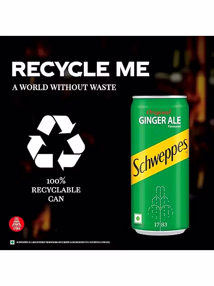 Schweppes Ginger Ale Can (300 Ml)-3
