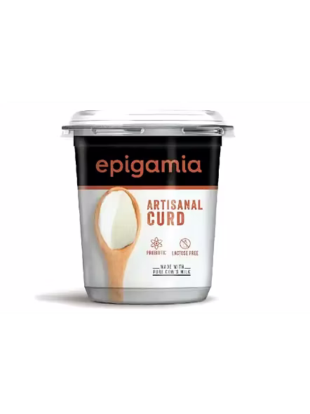 Epigamia Artisanal Curd (400 G)-1