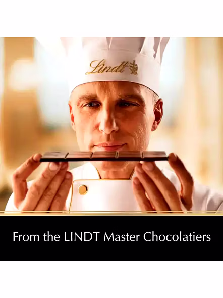 Lindt Excellence Sea Salt Dark Chocolate (100 G)-1