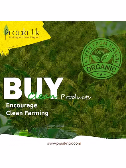 Praakritik Himalayan Pink Salt (500 G)-2