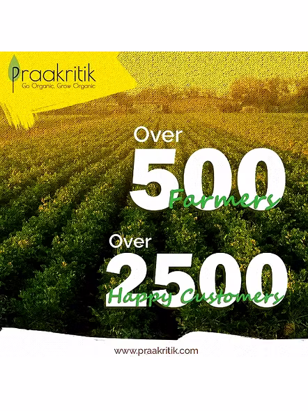 Praakritik Himalayan Pink Salt (500 G)-3