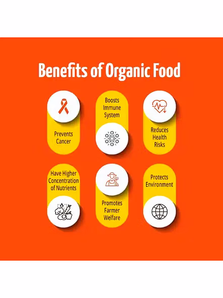 Pro Nature Organic Jaggery Powder (400 G)-1