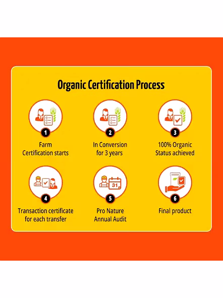 Pro Nature Organic Jaggery Powder (400 G)-2