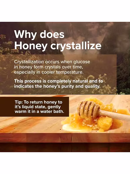 Conscious Food Honey Wild Forest Honey (500 Ml)-1