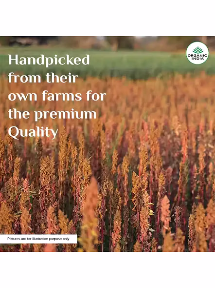 Organic India Quinoa (500 G)-1
