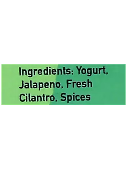 Saucery Cilantro N Jalapeno Dip (150 G)-2