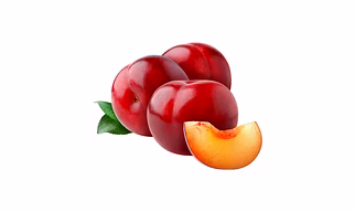 VEGF PLUMS-1 nos