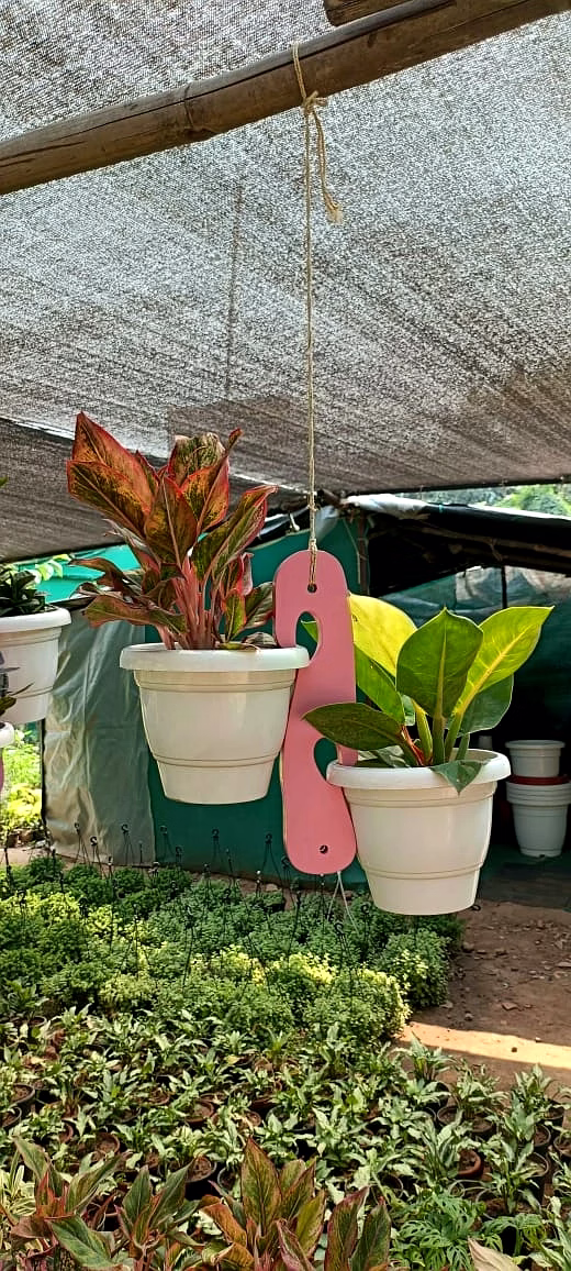 Wooden  Designer Hanging Planter image 1