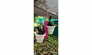 Wooden  Designer Hanging Planter