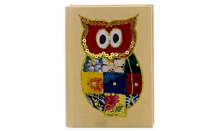 Unruled Notebook 5*7 100 Pages Owl