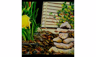 Oil Painting on Canvas: Back Yard