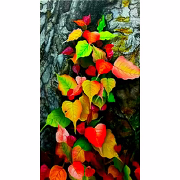 oil painting on canvas: colors of life