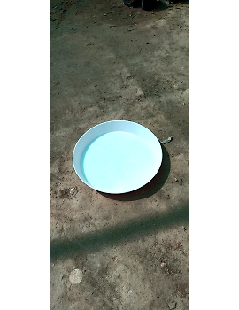 Heavy Duty Planter Pot Bottom Plate – White | 12 Inches-1-sm