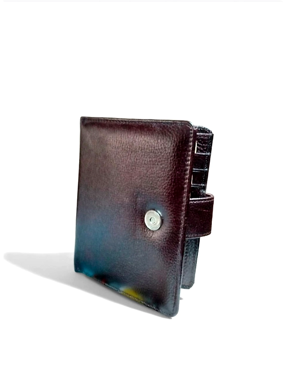 Leather Passport Holder with Flap – Regular Size | Elegant Travel Organizer-CO16