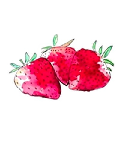 strawberry watercolour painting-37432