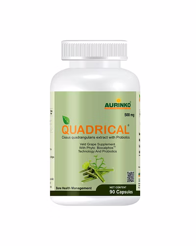 Quadrical-Complementary Food Supplement Cissus quadrangularis extract with Probiotics-123456731-B