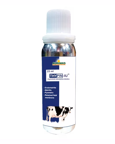 Thypin IU -Phytobiotic Intrauterine Infusion-123456818-L