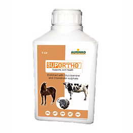 aurinko suportho-supports joint health